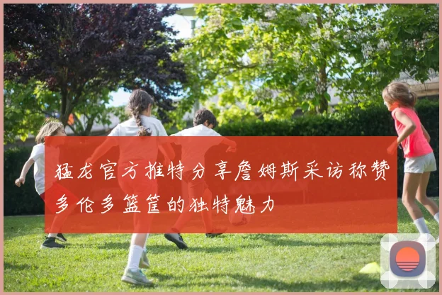 猛龙官方推特分享詹姆斯采访称赞多伦多篮筐的独特魅力